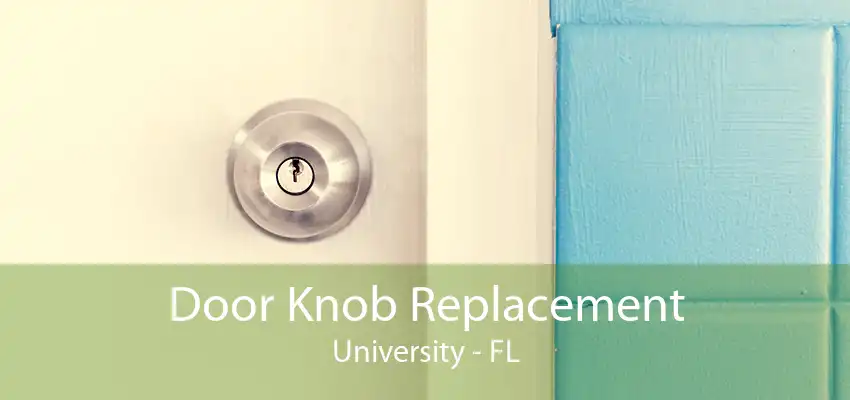 Door Knob Replacement University - FL