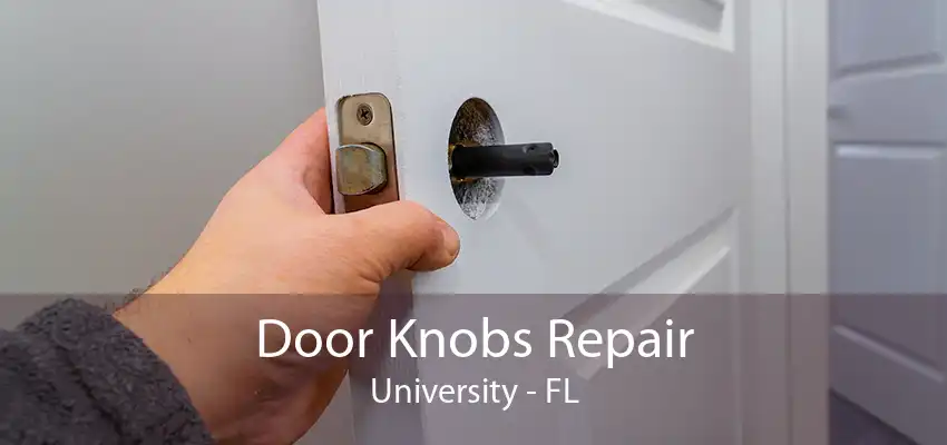 Door Knobs Repair University - FL