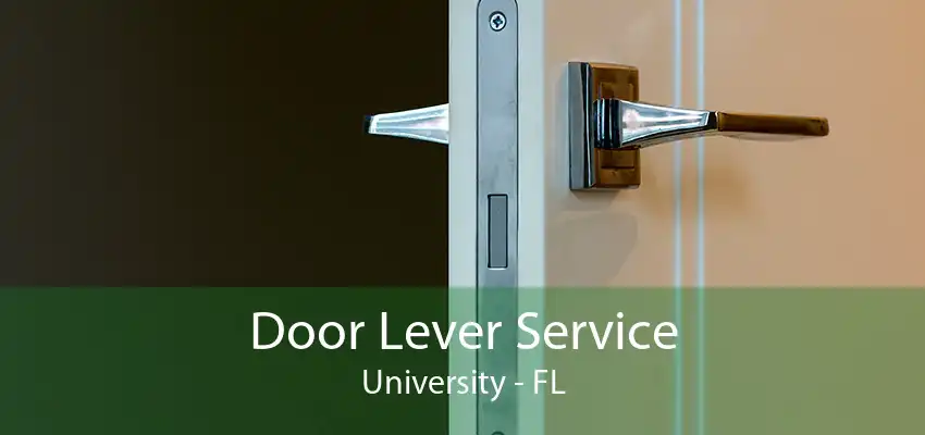 Door Lever Service University - FL