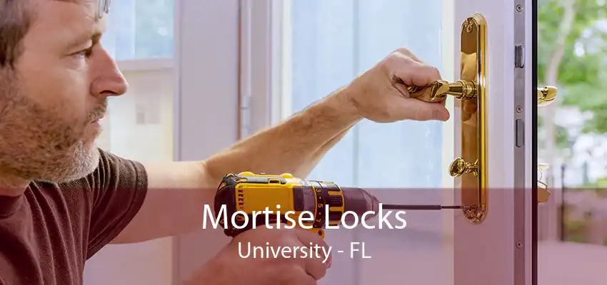 Mortise Locks University - FL