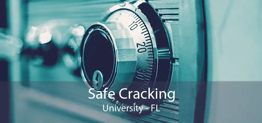 Safe Cracking University - FL